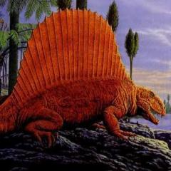 notadinosaur