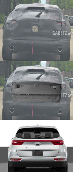 stelvio-back.png