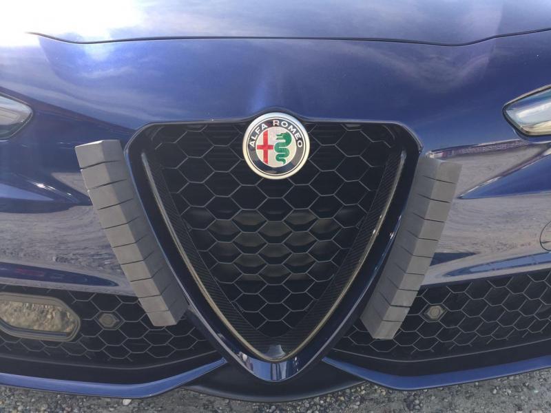 Griglia Frontale_Carbonio.jpg