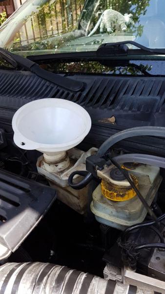 WhatsApp Image 2017-07-25 at 12.45.21.jpeg