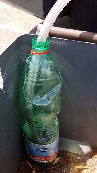 WhatsApp Image 2017-07-25 at 12.45.31.jpeg