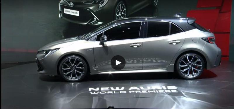 auris1 .jpg