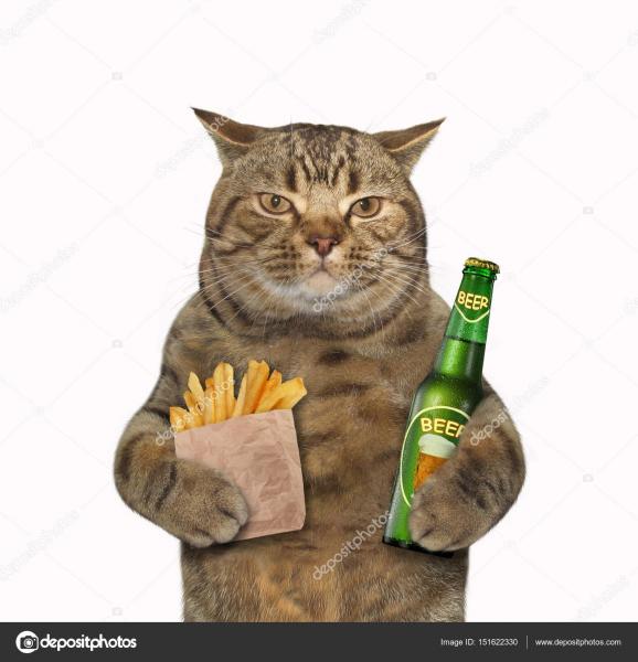 depositphotos_151622330-stock-photo-cat-with-beer-and-potatoes.thumb.jpg.03b7adb606d43c1ffcbaa251acd32798.jpg