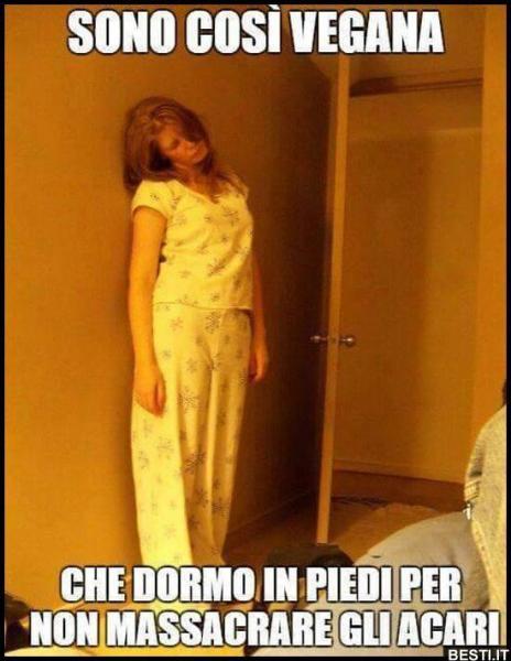 14a9609e595855e77c1eb21b0d1929aa.jpg