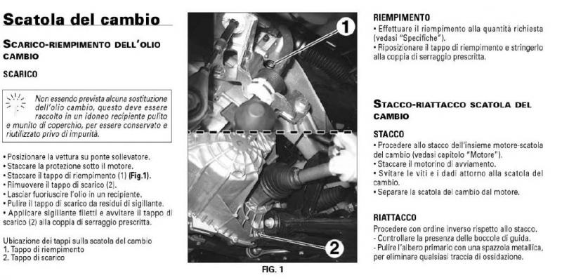 olio.thumb.jpg.abb70460794c6a6805ddec7923b0116c.jpg
