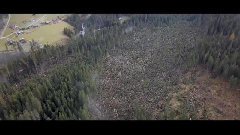 Val Visdende tornato alberi abbattuti 1.jpg