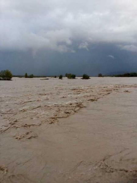 piave novembre 2018.jpg