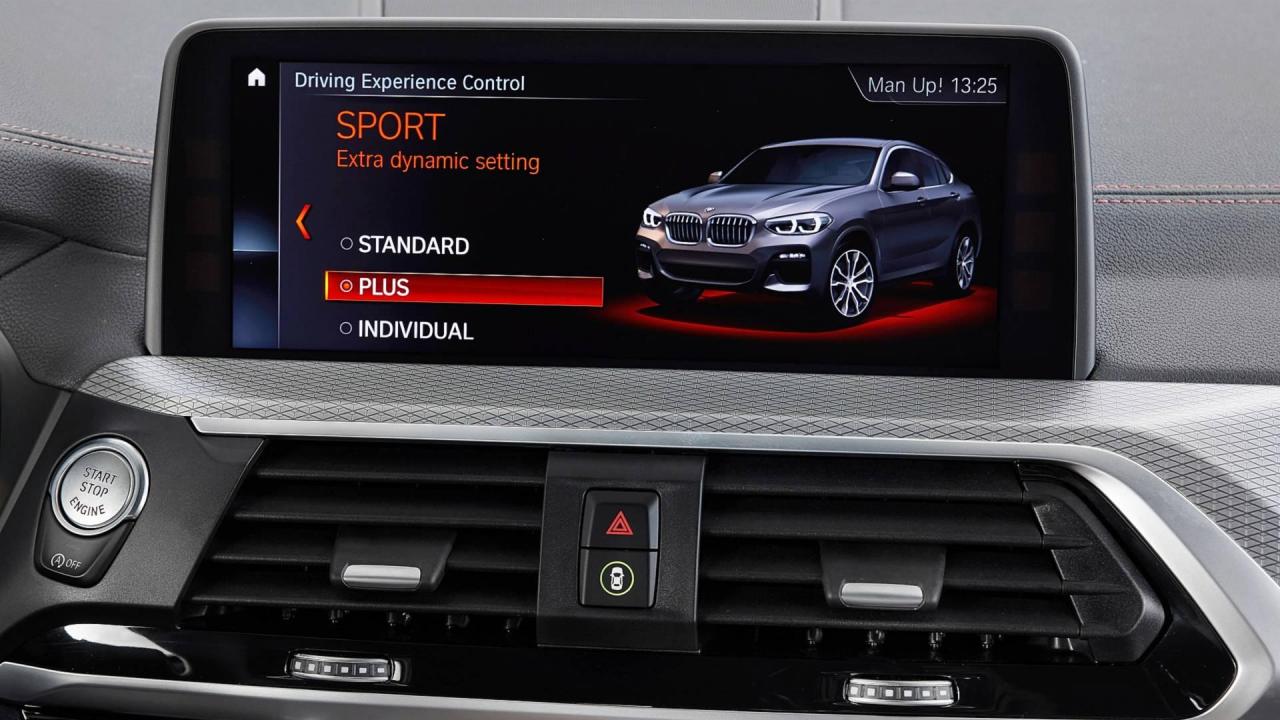 bmw-x4 (11).jpg