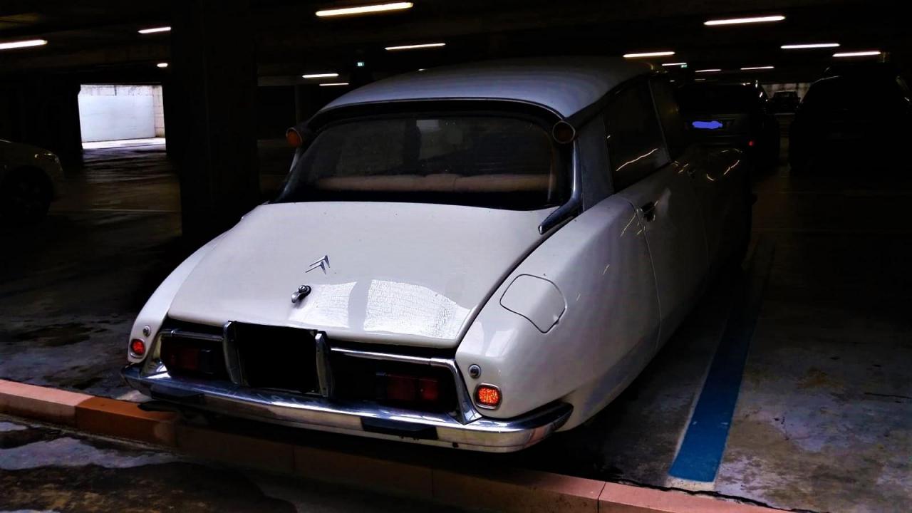 IMG-20190203-WA0001_LI.jpg