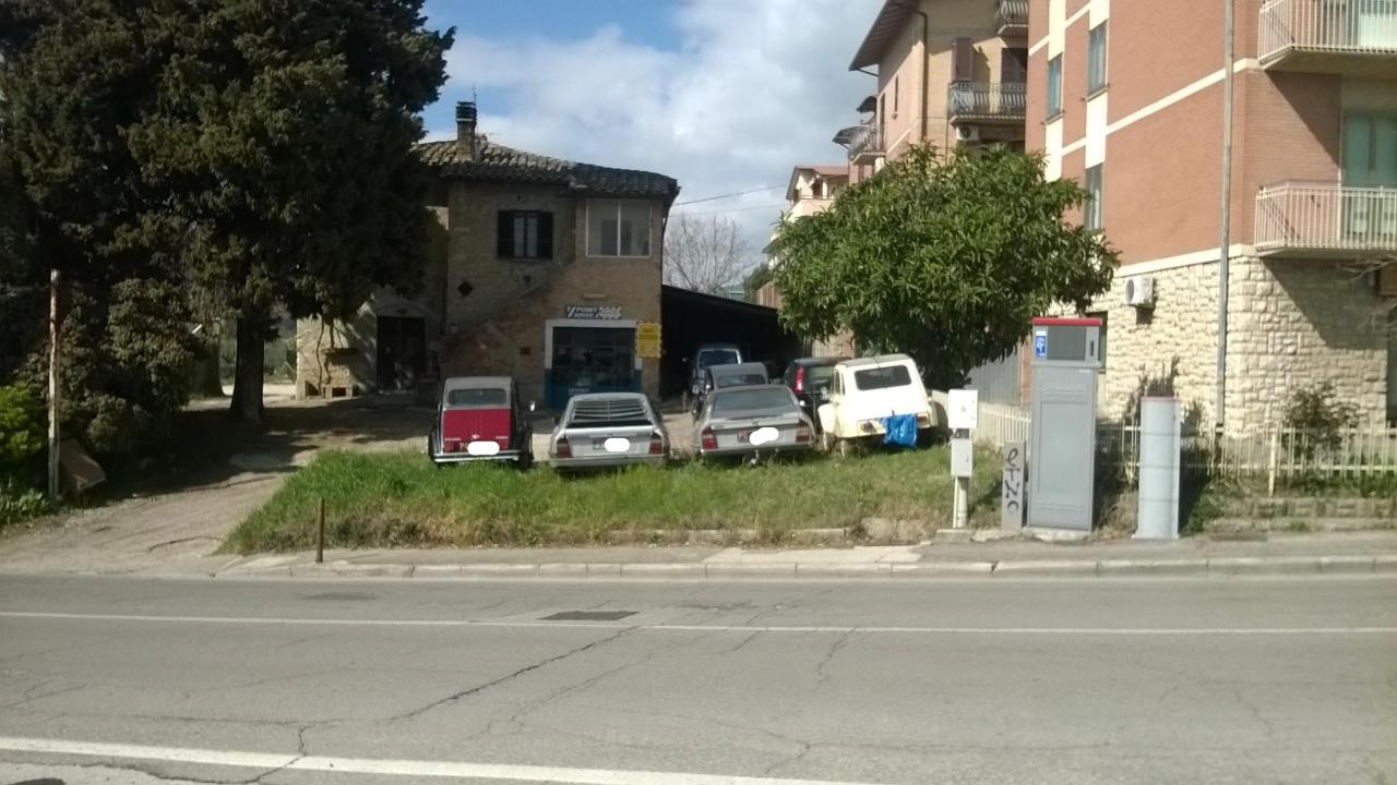 WP_20190315_12_00_17_Pro1.jpg