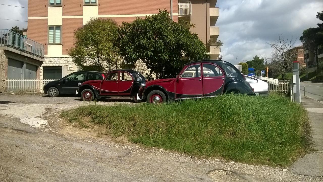 WP_20190315_12_00_39_Pro.jpg