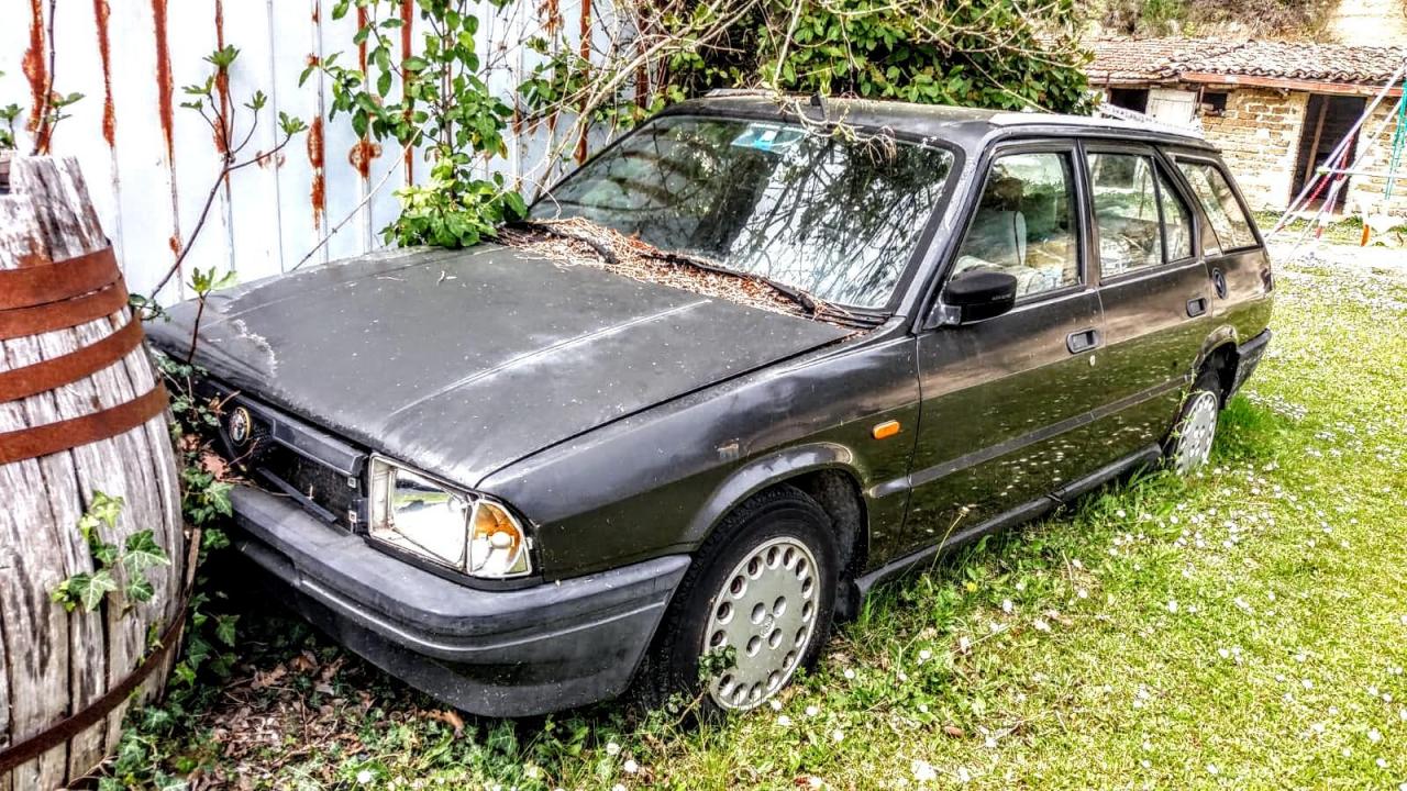 Alfa Romeo 33 SportWagon 2.jpg