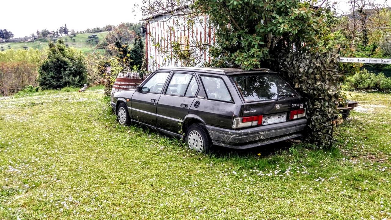 Alfa Romeo 33 SportWagon 1.jpg