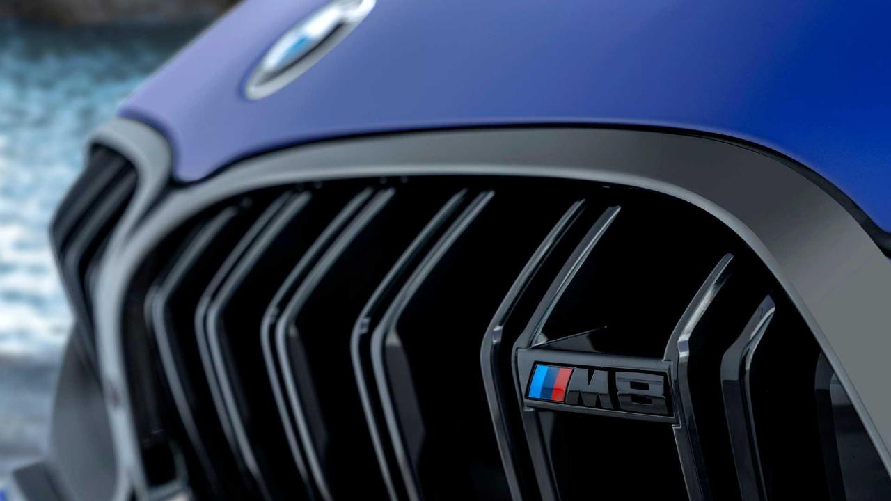 BMW M8 Coupe' Competition 2019 F91 (19).jpg