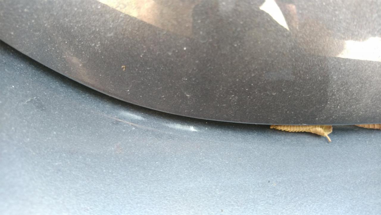 20190604_130459.thumb.jpg.b9b2b2e5e7494ef480dc5a1d53528fc6.jpg