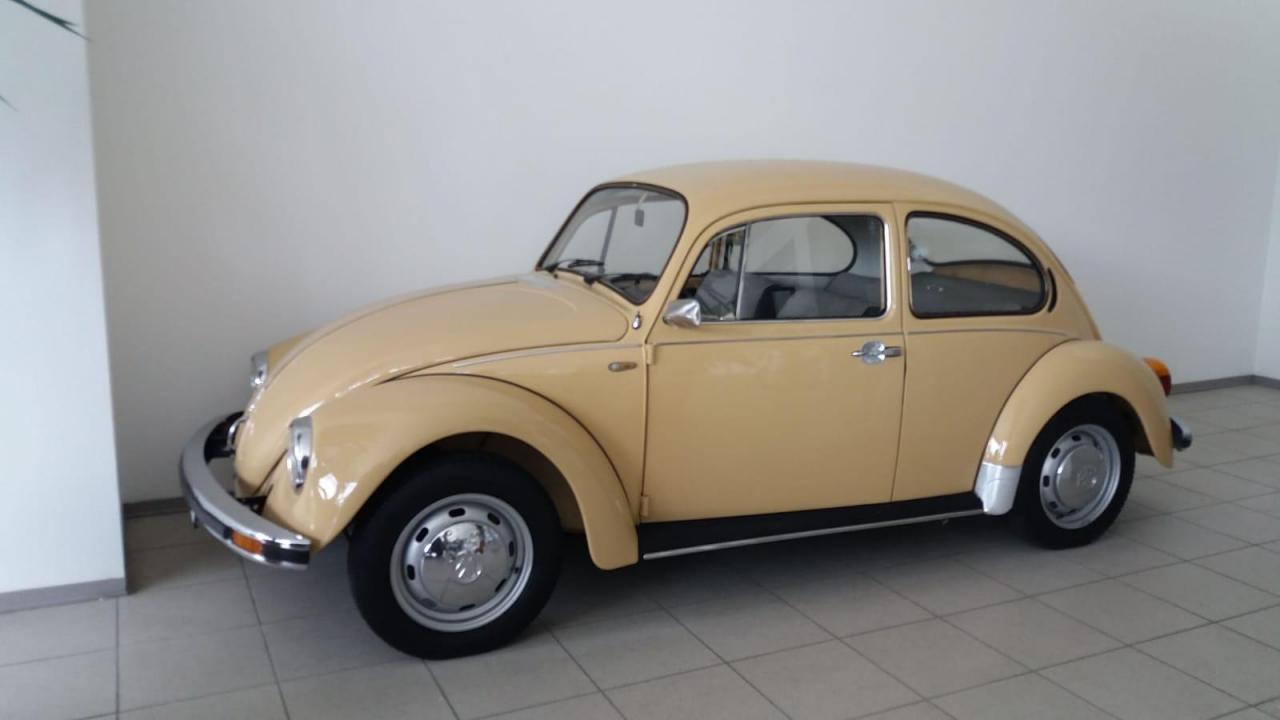 877613067_VWMaggiolone1.thumb.jpg.f68a7ab5501a04661863b56ea8b50aee.jpg