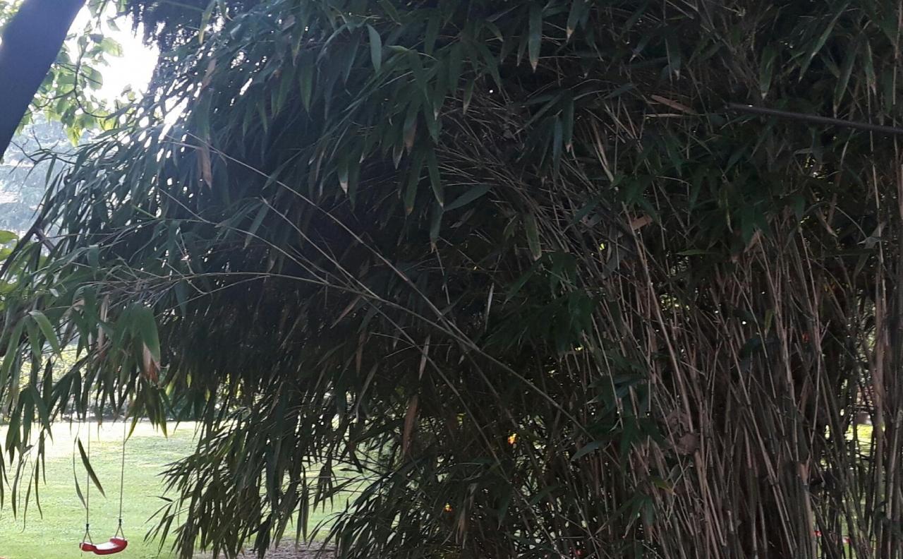 20190916_102930.jpg