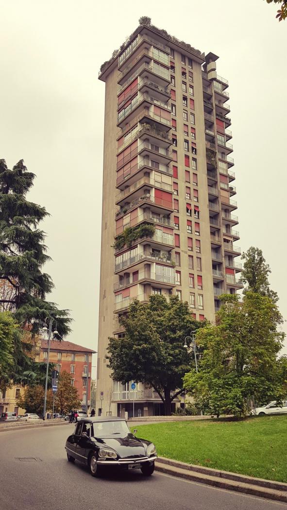 20191006_202746.jpg