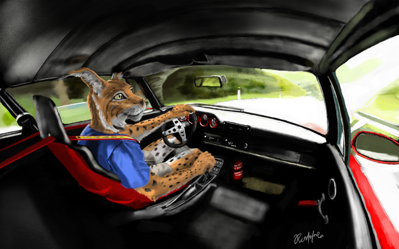 swish-lynx-driving-a-porsche-911-993-gt2.png