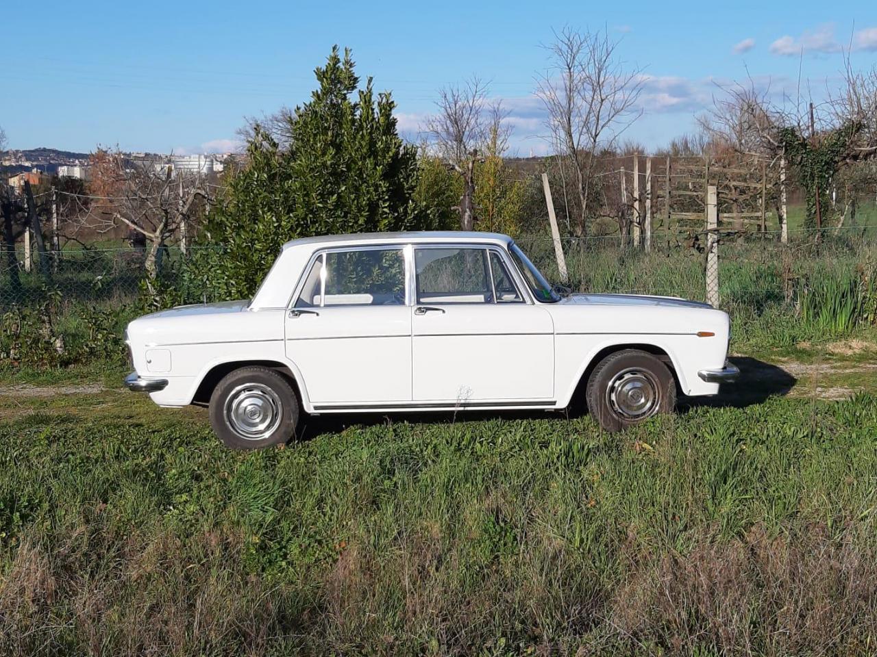 fulvia.jpg