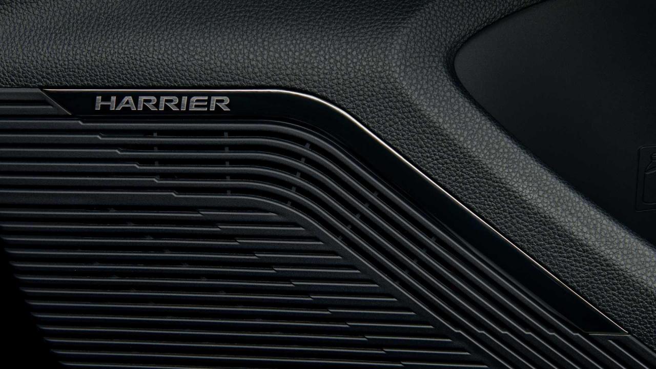 Toyota Harrier 2021 (11).jpg