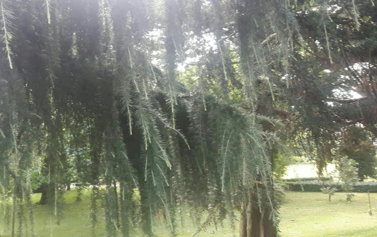 20200714_101901.jpg