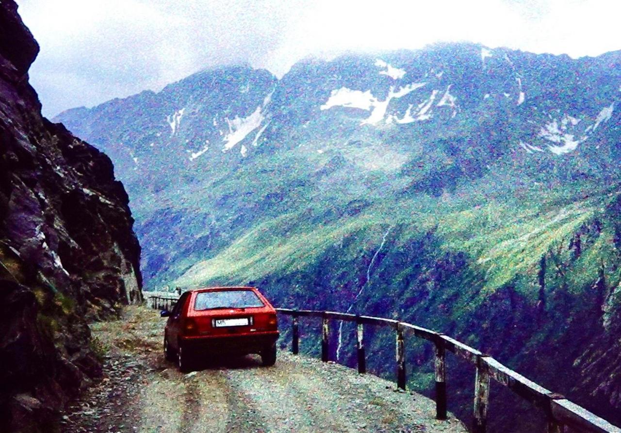 LD-Gavia.jpg