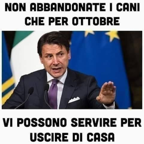 immagine.png.c3765e3d90c0e0bef837d988a9b5ee3d.png