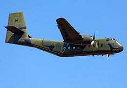 260px-HARS_De_Havilland_Canada_DHC-4A_Caribou_at_the_2015_Australian_International_Air_Show.jpg