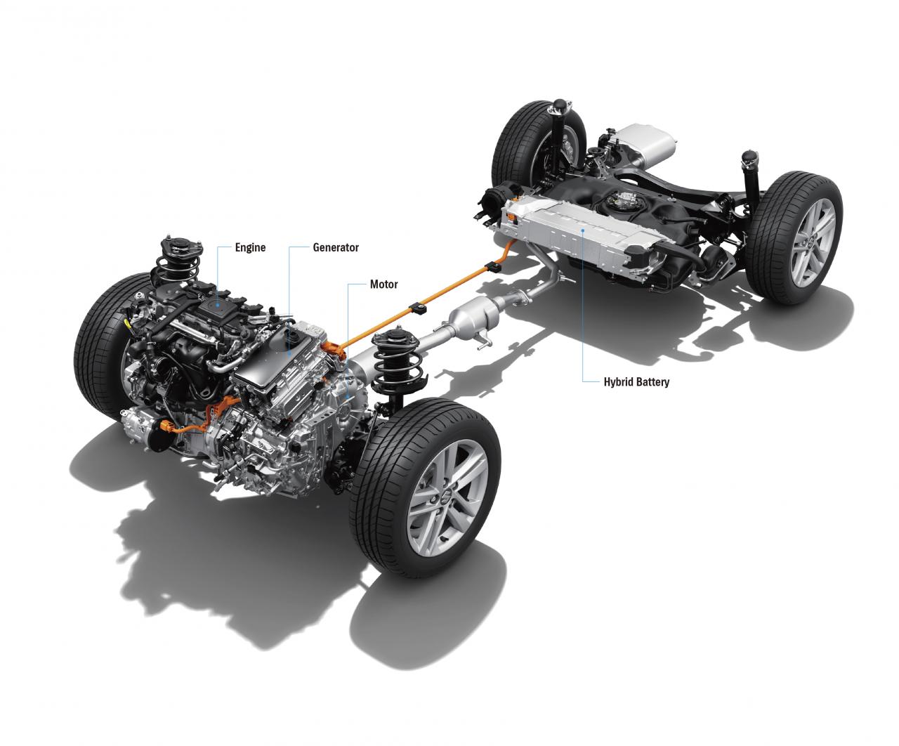 suzuki-swace-1-.jpg