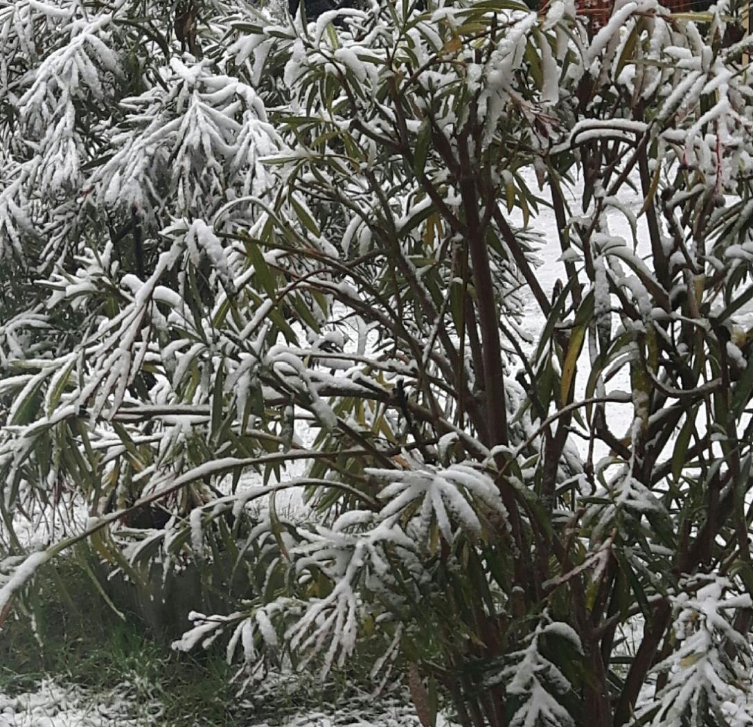 20201204_113955.jpg