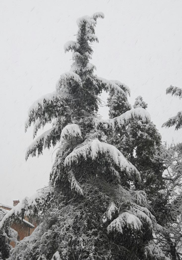 20201228_083859.jpg
