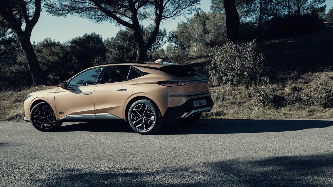 2021-ds-4 (18).jpg