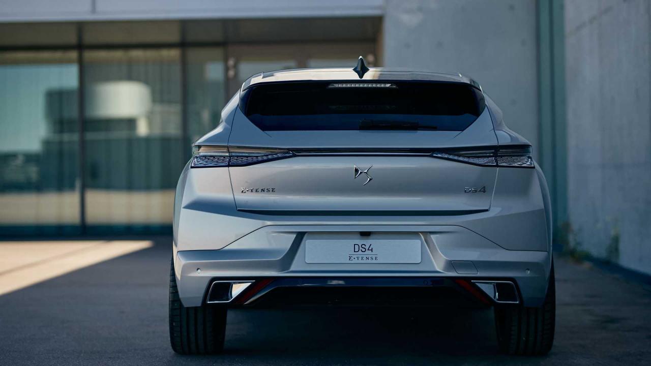 2021-ds-4 (9).jpg