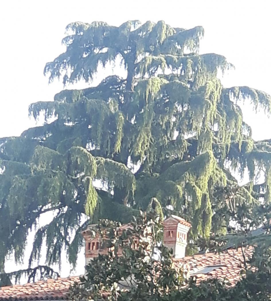 20210226_085943.jpg