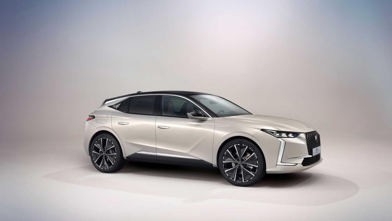 2021-ds-4 (1).jpg