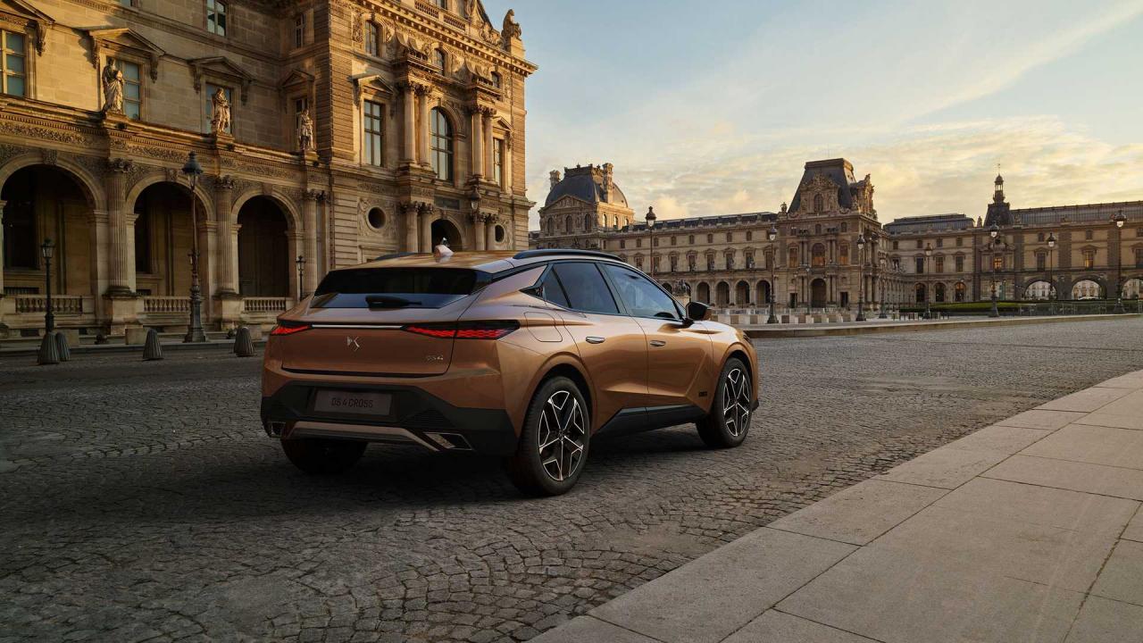 2021-ds-4 (19).jpg