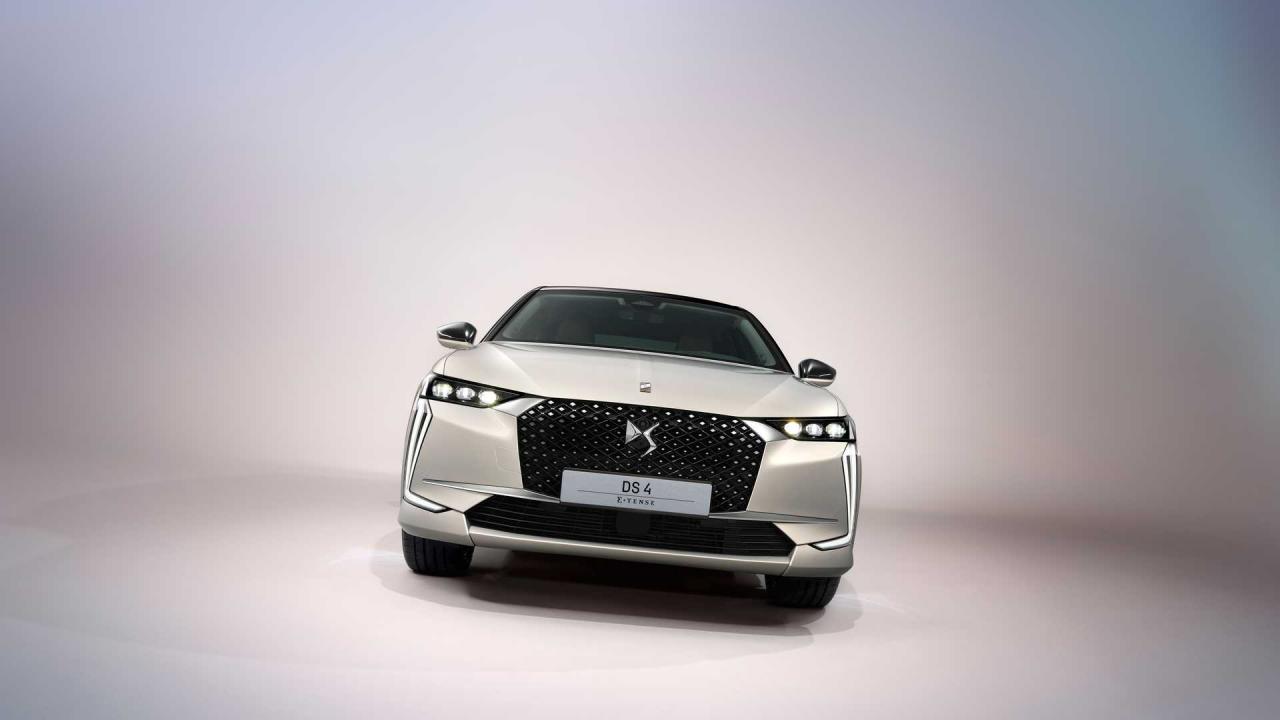 2021-ds-4 (2).jpg