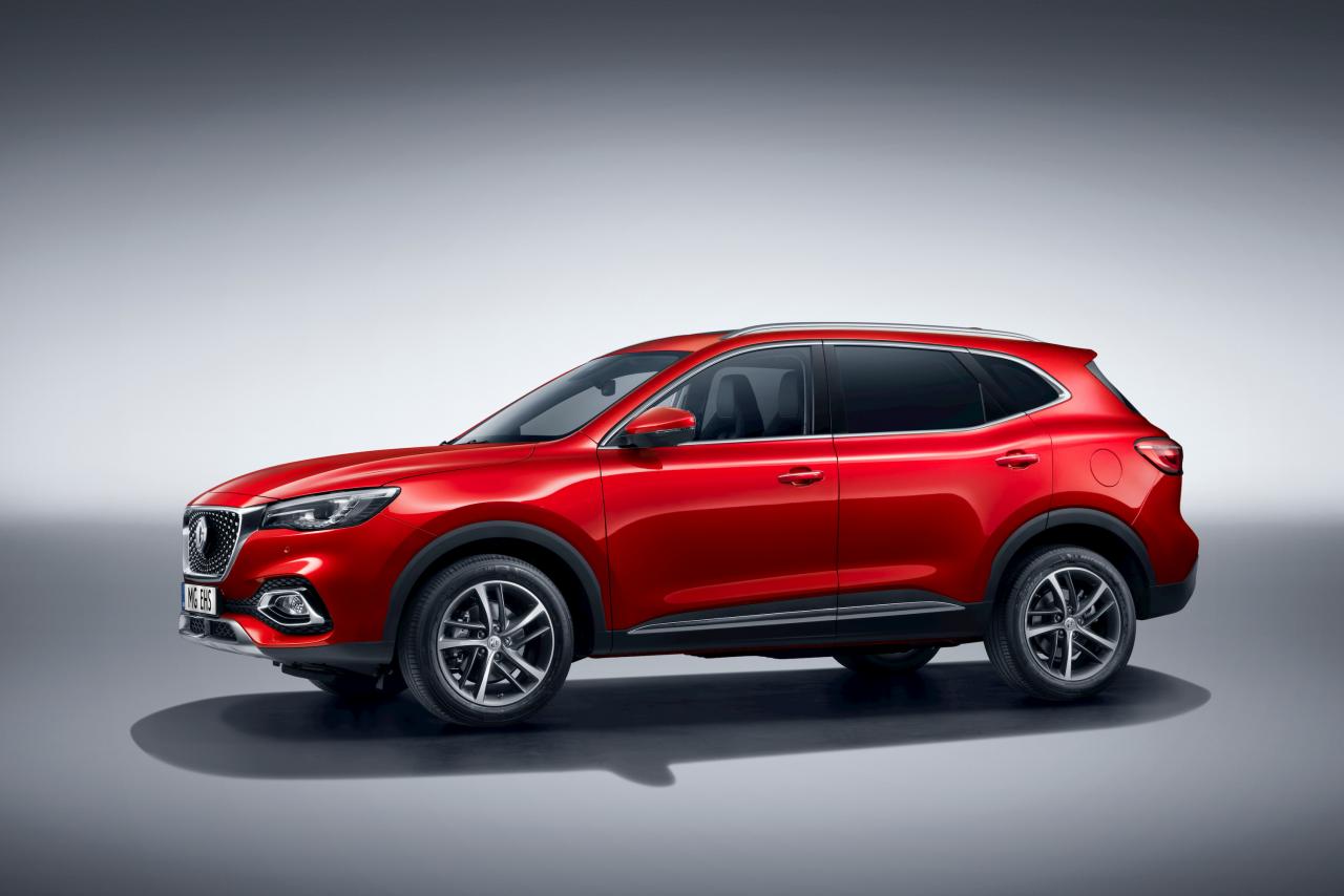 MG_EHS_Side-Profile-with-Degrees.thumb.jpg.bf0c89b65665030134c4045604358ee1.jpg