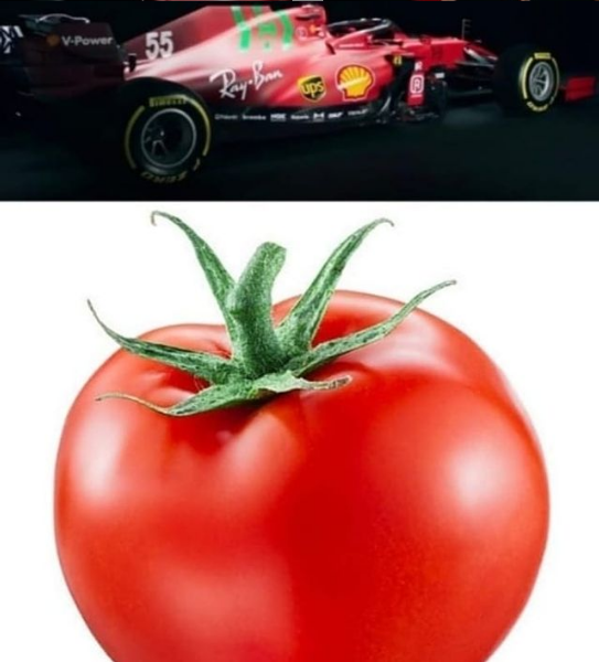 immagine.png.2a1e93c18dca36c9eecc223bcb3b6f73.png