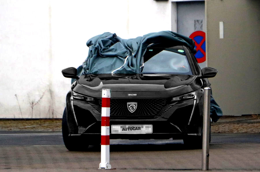 peuge110.jpg.c31b06aa9c48a401d6b5efa339ab54f9.jpg