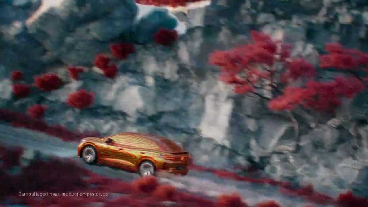 BDBA78D7-3AAF-4F32-B041-1A0A9D623F59.jpeg