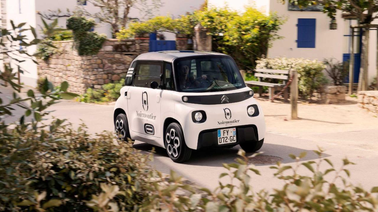 citroen-my-ami-cargo (2).jpg