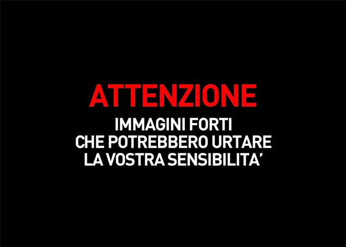 immagine.png.84541f0b0dda0eaedbf08429a8a1f625.png