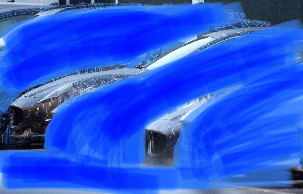 9E56D035-615E-43A7-84C5-CF31B823E923.jpeg.fb442693768f31032cf69c282c279ff2.jpeg