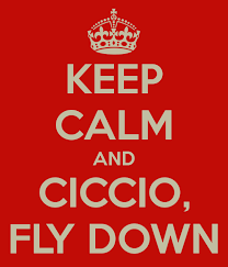 immagine.png.2dfd1d9106eca8a43c55141ed3a02b8f.png