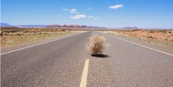 immagine.png.ade6f76f4ae1c5676527c8e0c8de360c.png