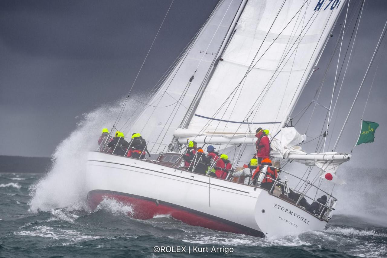 2021-rfr-start-stormvogel-ka.jpg