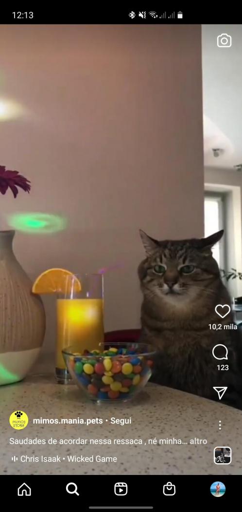 Screenshot_20210820-121322_Instagram.jpg