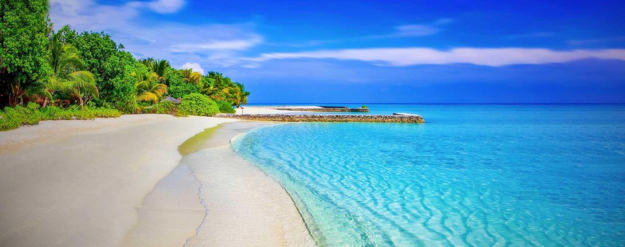 bahamas.jpg